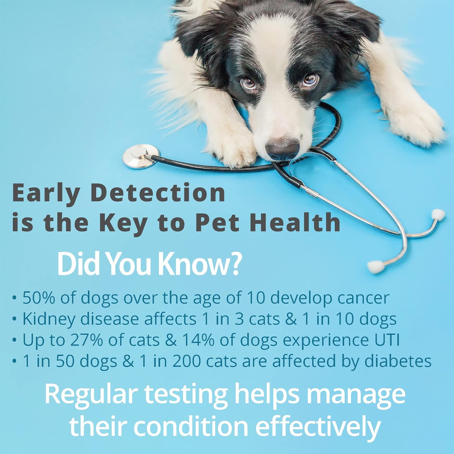 Pet Urine Testing Strips, 100  - Ph Strip Test incelemesi ve fiyatı