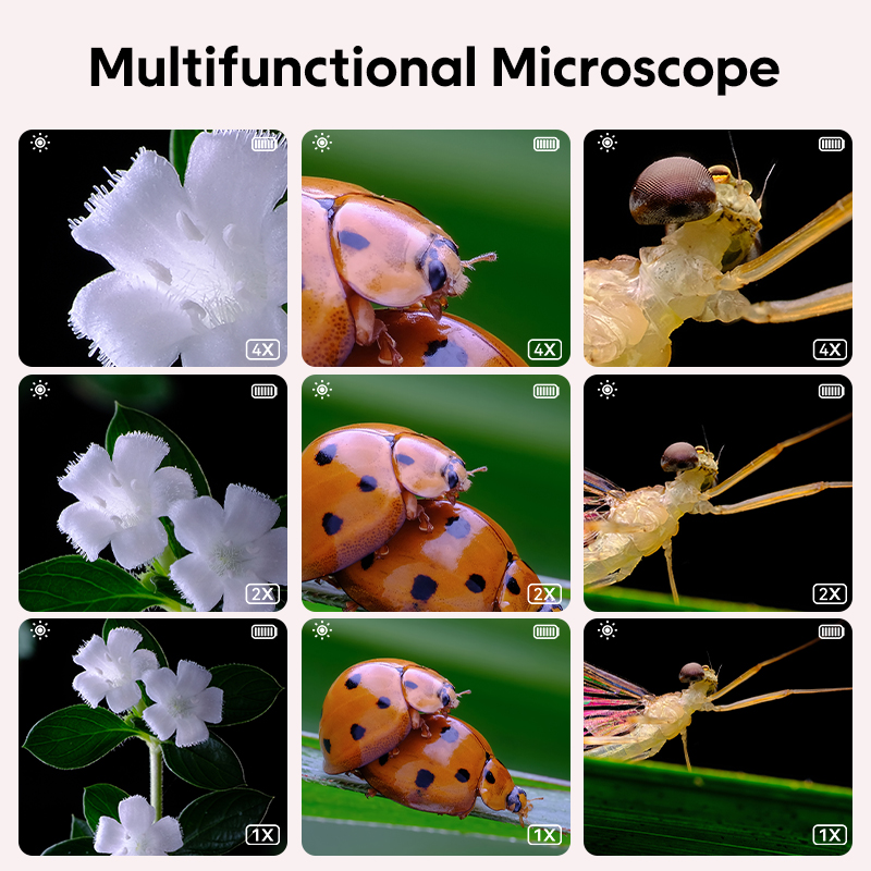 Mini Kids Optical Microscope W - Science Max incelemesi ve fiyatı